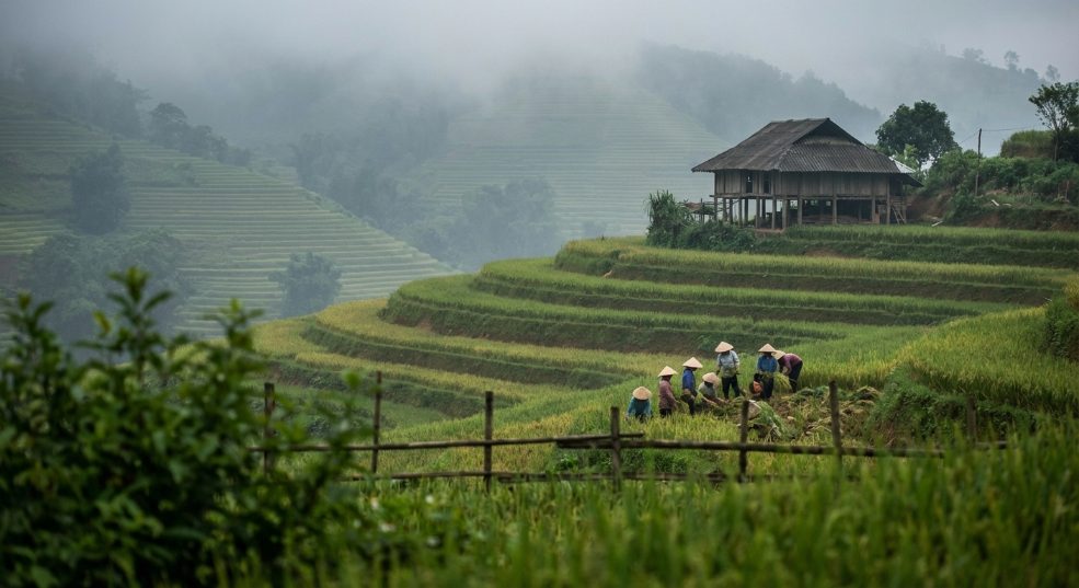 东南亚：从经济奇迹到后发国家诅咒第二张图