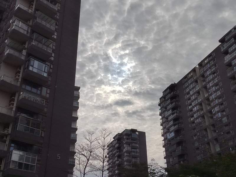 墙面装修材料选择：乳胶漆与墙布的对比