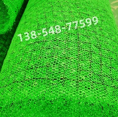 加筋型三维植被网