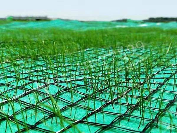 抗沖生态保护毯