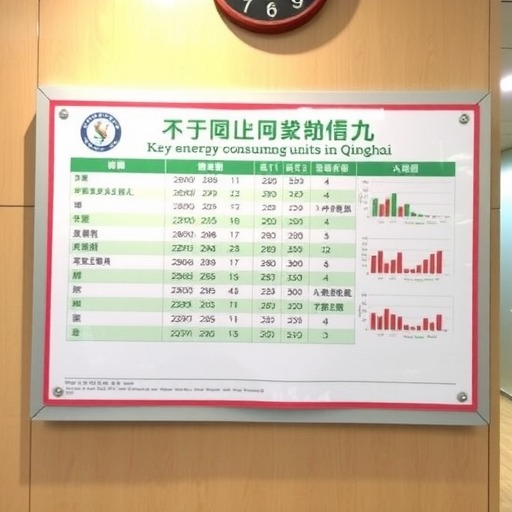 青海：关于对重点用能单位节能情况“双随机、一公开”监督检查结果的公示