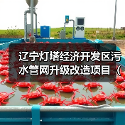 辽宁灯塔经济开发区污水管网升级改造项目(一标段) 招标公告(图2) 辽宁灯塔经济开发区污水管网升级改造项目(一标段) 招标公告(图2)