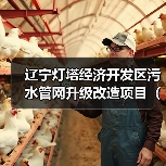 辽宁灯塔经济开发区污水管网升级改造项目（一标段） 招标公告