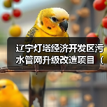 辽宁灯塔经济开发区污水管网升级改造项目(一标段) 招标公告(图4) 辽宁灯塔经济开发区污水管网升级改造项目(一标段) 招标公告(图4)