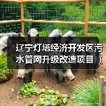 辽宁灯塔经济开发区污水管网升级改造项目(一标段) 招标公告(图3) 辽宁灯塔经济开发区污水管网升级改造项目(一标段) 招标公告(图3)