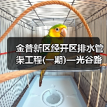 金普新区经开区排水管渠工程(一期)—光谷路等25处市政雨水管网及附属设施改造工程(第二批)总承包(EPC) 招标公告(图2) 金普新区经开区排水管渠工程(一期)—光谷路等25处市政雨水管网及附属设施改造工程(第二批)总承包(EPC) 招标公告(图2)