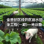 金普新区经开区排水管渠工程(一期)—光谷路等25处市政雨水管网及附属设施改造工程(第二批)总承包