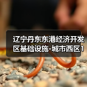 辽宁丹东东港经济开发区基础设施-城市西区10KV电力主干线工程施工 招标公告(图1) 辽宁丹东东港经济开发区基础设施-城市西区10KV电力主干线工程施工 招标公告(图1)
