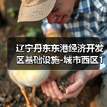 辽宁丹东东港经济开发区基础设施-城市西区10KV电力主干线工程施工 招标公告(图4) 辽宁丹东东港经济开发区基础设施-城市西区10KV电力主干线工程施工 招标公告(图4)