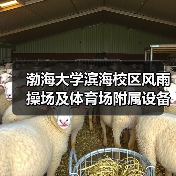 渤海大学滨海校区风雨操场及体育场附属设备用房项目施工 招标公告(图2) 渤海大学滨海校区风雨操场及体育场附属设备用房项目施工 招标公告(图2)