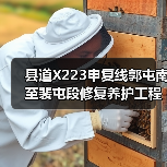 县道X223申复线郭屯南至裴屯段修复养护工程施工 招标公告(图1) 县道X223申复线郭屯南至裴屯段修复养护工程施工 招标公告(图1)