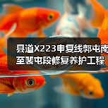 县道X223申复线郭屯南至裴屯段修复养护工程施工 招标公告(图4) 县道X223申复线郭屯南至裴屯段修复养护工程施工 招标公告(图4)