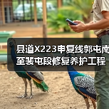 县道X223申复线郭屯南至裴屯段修复养护工程施工 招标公告(图3) 县道X223申复线郭屯南至裴屯段修复养护工程施工 招标公告(图3)