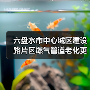 六盘水市中心城区建设路片区燃气管道老化更新改造工程(二期)招标公告(图1) 六盘水市中心城区建设路片区燃气管道老化更新改造工程(二期)招标公告(图1)