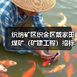 织纳矿区织金区戴家田煤矿(矿建工程)招标公告(图3) 织纳矿区织金区戴家田煤矿(矿建工程)招标公告(图3)