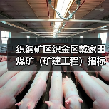 织纳矿区织金区戴家田煤矿(矿建工程)招标公告(图4) 织纳矿区织金区戴家田煤矿(矿建工程)招标公告(图4)