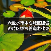 六盘水市中心城区建设路片区燃气管道老化更新改造工程(二期)招标公告(图4) 六盘水市中心城区建设路片区燃气管道老化更新改造工程(二期)招标公告(图4)