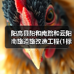 阳高县阳和南路和云阳南路道路改造工程(1标段)招标公告(图4) 阳高县阳和南路和云阳南路道路改造工程(1标段)招标公告(图4)