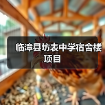 临漳县坊表中学宿舍楼项目(图1) 临漳县坊表中学宿舍楼项目(图1)
