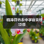 临漳县坊表中学宿舍楼项目(图4) 临漳县坊表中学宿舍楼项目(图4)