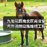 九玺花园南北区商业室内外消防设施维修工程项目招标公告(图3) 九玺花园南北区商业室内外消防设施维修工程项目招标公告(图3)