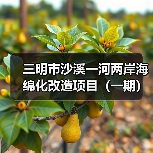 三明市沙溪一河两岸海绵化改造项目(一期)(图4) 三明市沙溪一河两岸海绵化改造项目(一期)(图4)