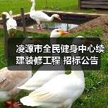 凌源市全民健身中心续建装修工程 招标公告(图4) 凌源市全民健身中心续建装修工程 招标公告(图4)