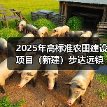 2025年高标准农田建设项目(新建)步达远镇项目区胜利村标段 (重发公告) 招标公告(图2) 2025年高标准农田建设项目(新建)步达远镇项目区胜利村标段 (重发公告) 招标公告(图2)