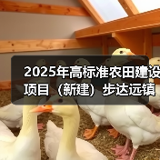 2025年高标准农田建设项目(新建)步达远镇项目区胜利村标段 (重发公告) 招标公告(图3) 2025年高标准农田建设项目(新建)步达远镇项目区胜利村标段 (重发公告) 招标公告(图3)
