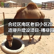合经区南区老旧小区改造提升建设项目-福禄园、康利园C、方兴南北园项目设计招标公告(图2) 合经区南区老旧小区改造提升建设项目-福禄园、康利园C、方兴南北园项目设计招标公告(图2)