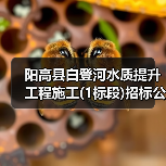 阳高县白登河水质提升工程施工(1标段)招标公告(图1) 阳高县白登河水质提升工程施工(1标段)招标公告(图1)
