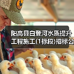 阳高县白登河水质提升工程施工(1标段)招标公告(图4) 阳高县白登河水质提升工程施工(1标段)招标公告(图4)