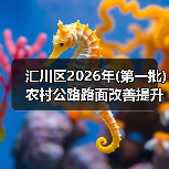 汇川区2026年(第一批)农村公路路面改善提升工程招标公告(图1) 汇川区2026年(第一批)农村公路路面改善提升工程招标公告(图1)