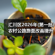 汇川区2026年(第一批)农村公路路面改善提升工程招标公告(图2) 汇川区2026年(第一批)农村公路路面改善提升工程招标公告(图2)