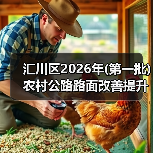 汇川区2026年(第一批)农村公路路面改善提升工程招标公告(图3) 汇川区2026年(第一批)农村公路路面改善提升工程招标公告(图3)