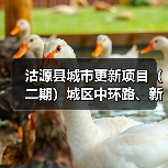 沽源县城市更新项目(二期)城区中环路、新城街等地下管网及海绵城市工程——第六标段施工招标公告(图2) 沽源县城市更新项目(二期)城区中环路、新城街等地下管网及海绵城市工程——第六标段施工招标公告(图2)