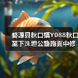 婺源县秋口镇Y088秋口至下洙坦公路路面中修工程施工招标公告(图3) 婺源县秋口镇Y088秋口至下洙坦公路路面中修工程施工招标公告(图3)