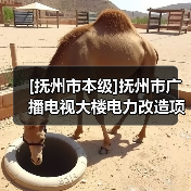 [抚州市本级]抚州市广播电视大楼电力改造项目