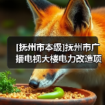 [抚州市本级]抚州市广播电视大楼电力改造项目（图3）