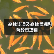 森林步道及森林景观科普教育项目(图1) 森林步道及森林景观科普教育项目(图1)