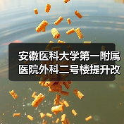安徽医科大学第一附属医院外科二号楼提升改造项目施工总承包招标公告(图3) 安徽医科大学第一附属医院外科二号楼提升改造项目施工总承包招标公告(图3)