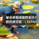 某仓库视频监控系统升级改造项目 ( E6543003923000936001)(图2) 某仓库视频监控系统升级改造项目 ( E6543003923000936001)(图2)