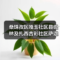 桑珠孜区嘎玉社区县级林及扎西吉彩社区萨迦林、朗热林、洛玛彩林老旧小区改造项目项目招标公告(图3) 桑珠孜区嘎玉社区县级林及扎西吉彩社区萨迦林、朗热林、洛玛彩林老旧小区改造项目项目招标公告(图3)
