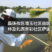 桑珠孜区嘎玉社区县级林及扎西吉彩社区萨迦林、朗热林、洛玛彩林老旧小区改造项目项目招标公告