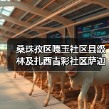 桑珠孜区嘎玉社区县级林及扎西吉彩社区萨迦林、朗热林、洛玛彩林老旧小区改造项目项目招标公告(图4) 桑珠孜区嘎玉社区县级林及扎西吉彩社区萨迦林、朗热林、洛玛彩林老旧小区改造项目项目招标公告(图4)
