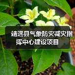 靖远县气象防灾减灾指挥中心建设项目(图2) 靖远县气象防灾减灾指挥中心建设项目(图2)