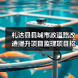 札达县县城市政道路改造提升项目监理项目招标公告(图1) 札达县县城市政道路改造提升项目监理项目招标公告(图1)