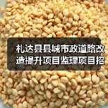 札达县县城市政道路改造提升项目监理项目招标公告(图3) 札达县县城市政道路改造提升项目监理项目招标公告(图3)