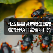 札达县县城市政道路改造提升项目监理项目招标公告(图4) 札达县县城市政道路改造提升项目监理项目招标公告(图4)
