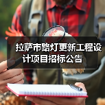 拉萨市路灯更新工程设计项目招标公告(图3) 拉萨市路灯更新工程设计项目招标公告(图3)